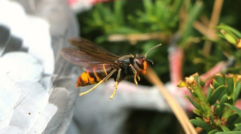 
Warning: Undefined variable $attachment_meta in /home/marcelldev/www/wp-content/themes/marcelle-new/single.php on line 64

Warning: Trying to access array offset on value of type null in /home/marcelldev/www/wp-content/themes/marcelle-new/single.php on line 64
