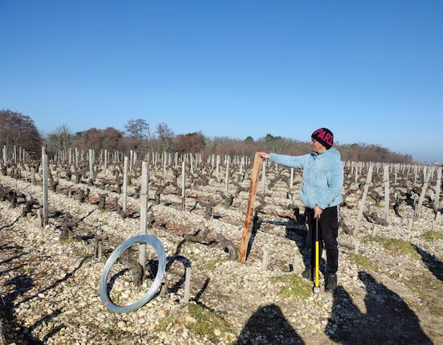 Une École de la Vigne et du savoir-être en Médoc