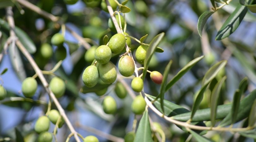 
Warning: Undefined variable $attachment_meta in /home/marcelldev/www/wp-content/themes/marcelle-new/single.php on line 64

Warning: Trying to access array offset on value of type null in /home/marcelldev/www/wp-content/themes/marcelle-new/single.php on line 64
