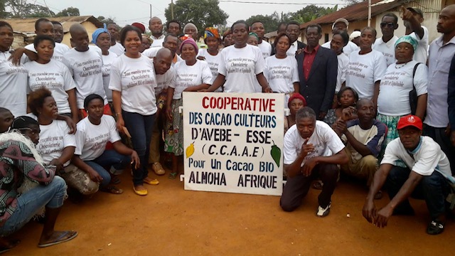 Févier d’Or cultive le cacao et la différence 3