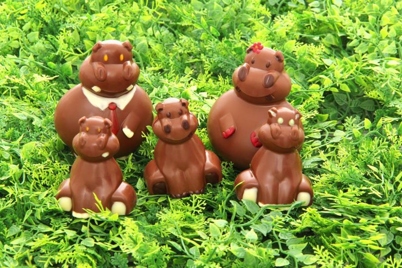 Févier d’Or cultive le cacao et la différence 4