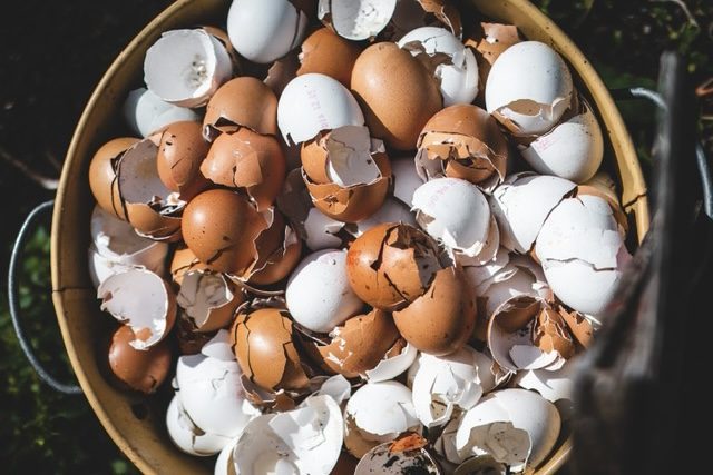 Transition des territoires : comment mobiliser les élus ? 1