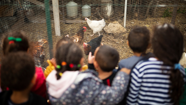 Jardin partagé de la Jougarelle