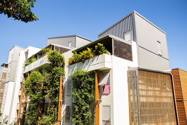 À La Possession, l'écologie est l'affaire de tous #1 5