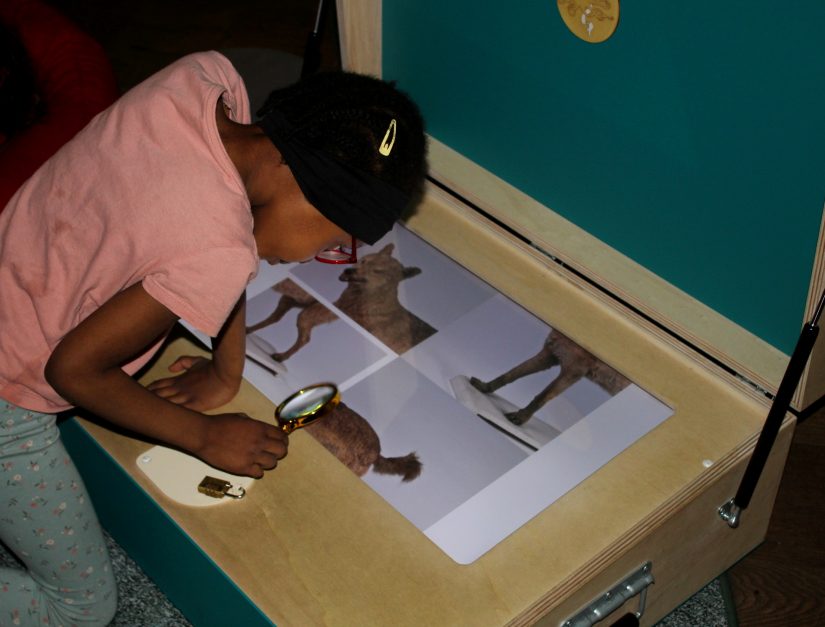 Un musée spécialement pensé pour les enfants 2