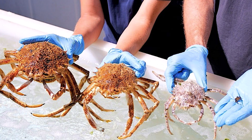 
Warning: Undefined variable $attachment_meta in /home/marcelldev/www/wp-content/themes/marcelle-new/single.php on line 64

Warning: Trying to access array offset on value of type null in /home/marcelldev/www/wp-content/themes/marcelle-new/single.php on line 64
