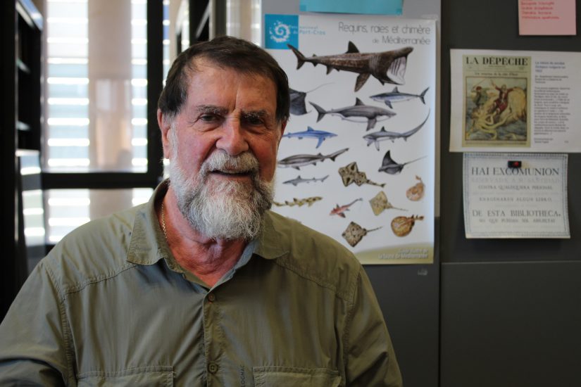 Posidonie : la replanter… mais surtout la préserver 3