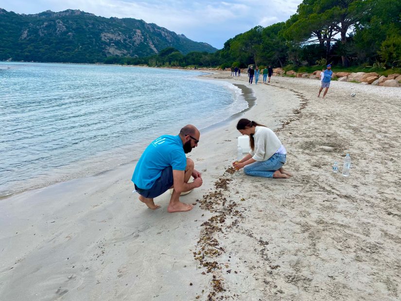 Posidonie : la replanter… mais surtout la préserver