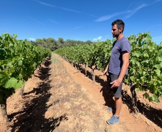 Chez les Vignerons Engagés, des militantes comme Sainte-Roseline et Les Demoiselles 3