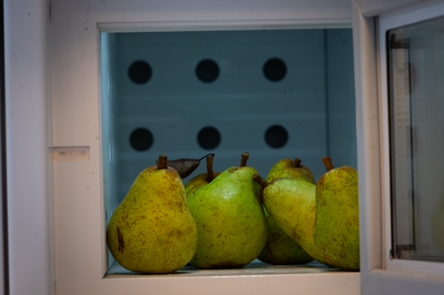 Des étals paysans dans d’anciens kiosques à journaux