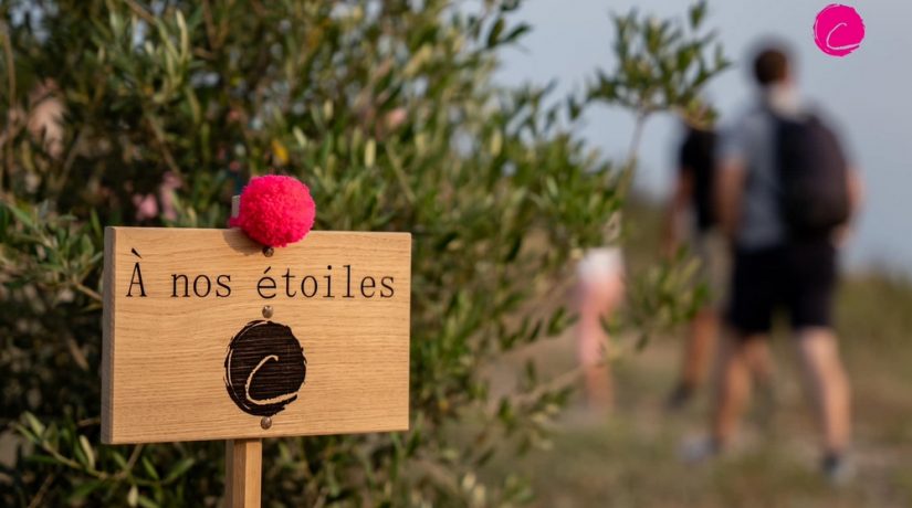 
Warning: Undefined variable $attachment_meta in /home/marcelldev/www/wp-content/themes/marcelle-new/single.php on line 64

Warning: Trying to access array offset on value of type null in /home/marcelldev/www/wp-content/themes/marcelle-new/single.php on line 64
