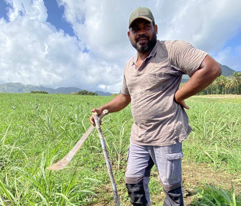 Dans le jardin d’Edden des rhums JM 2