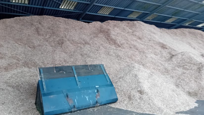 Le miscanthus comme moyen de chauffage d'une commune alsacienne 3