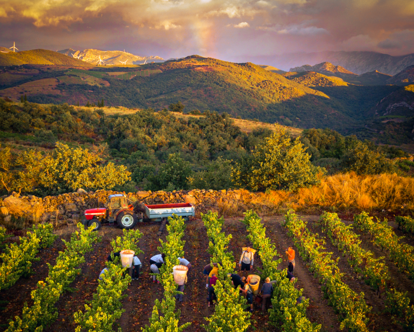Trémoine, une petite coopérative combattive 5