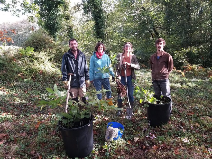 Repousse reboise gratuitement Nantes avec des arbres locaux 3