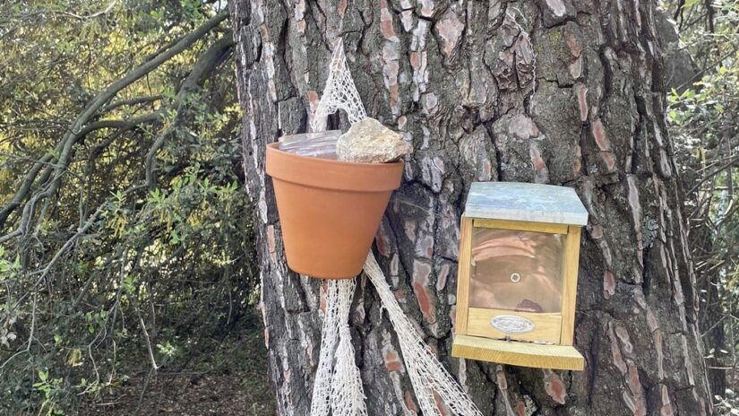 amenagement-protection-parc-ecureuil-lambesc