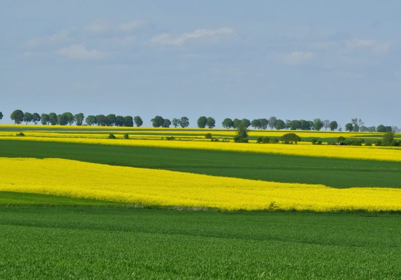 « L’agroécologie, un système de production relocalisé, durable et sain pour tous » 1