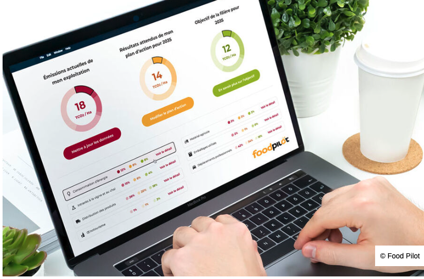 L’IA dans les vignes, agent de service pour la transition écologique 2