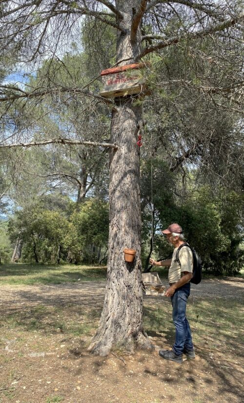 parc-ecureuil-mangeoire-lambesc