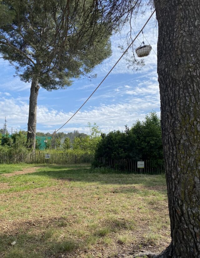 parc-lambesc-ecureuil-provence-lpo