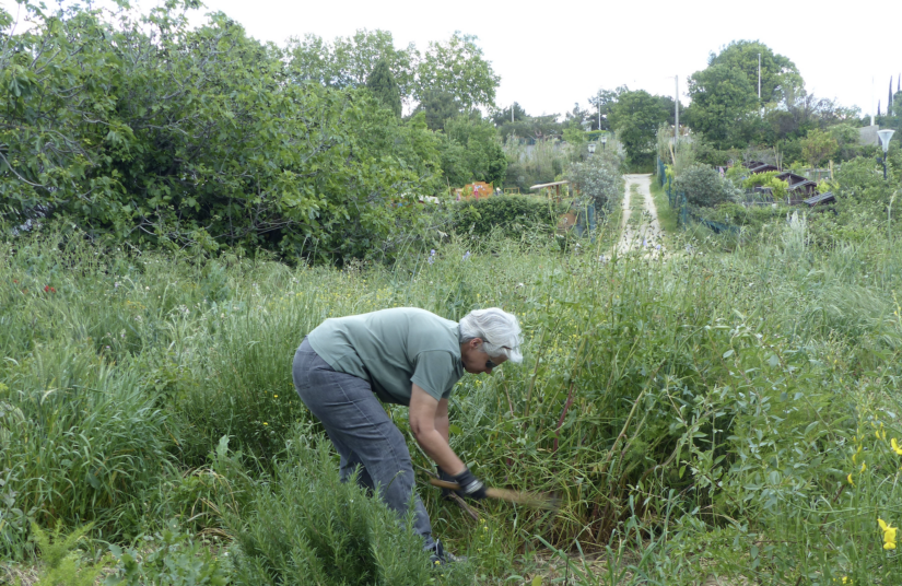 Re-naturer les villes... pour les sauver ? 2