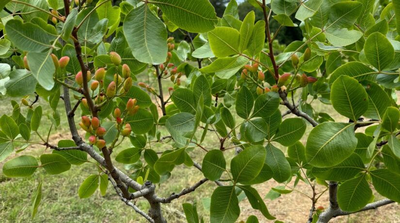 
Warning: Undefined variable $attachment_meta in /home/marcelldev/www/wp-content/themes/marcelle-new/single.php on line 64

Warning: Trying to access array offset on value of type null in /home/marcelldev/www/wp-content/themes/marcelle-new/single.php on line 64
