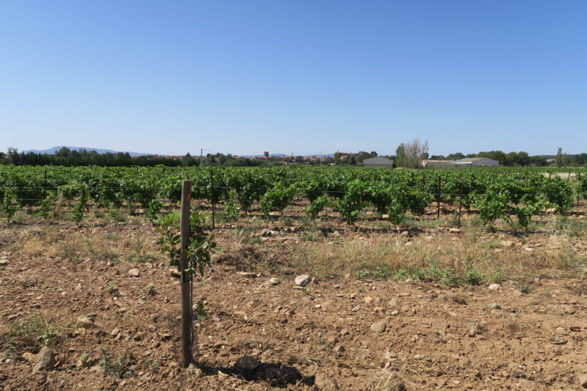 Changement climatique : le coup de ‘’pousse’’ de Confian’Sol aux agriculteurs 2