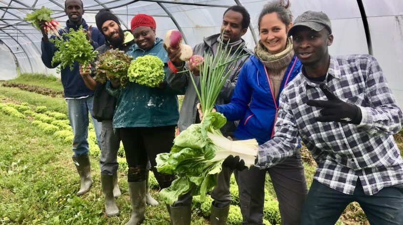 
Warning: Undefined variable $attachment_meta in /home/marcelldev/www/wp-content/themes/marcelle-new/single.php on line 64

Warning: Trying to access array offset on value of type null in /home/marcelldev/www/wp-content/themes/marcelle-new/single.php on line 64
