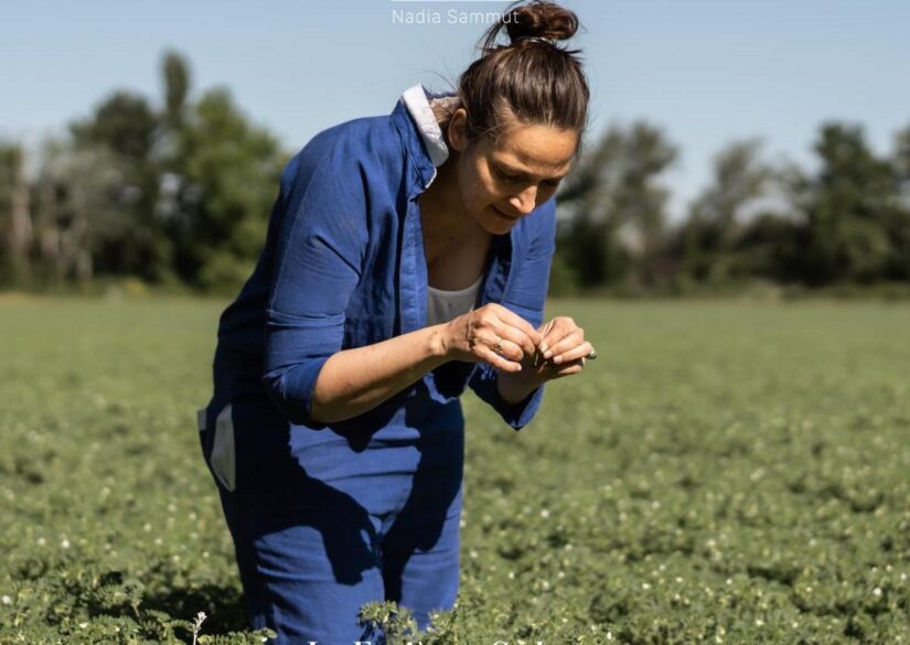 Les So Good nourritures de Nadia Sammut