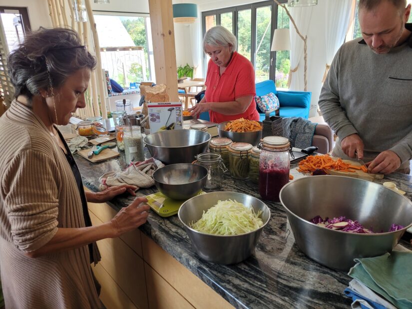 Penser la transition en Alsace avec Pas à Pas 3