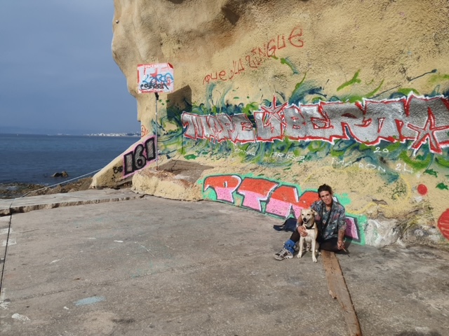 Chez Jeanne, un hébergement d'urgence avec vue mer 2