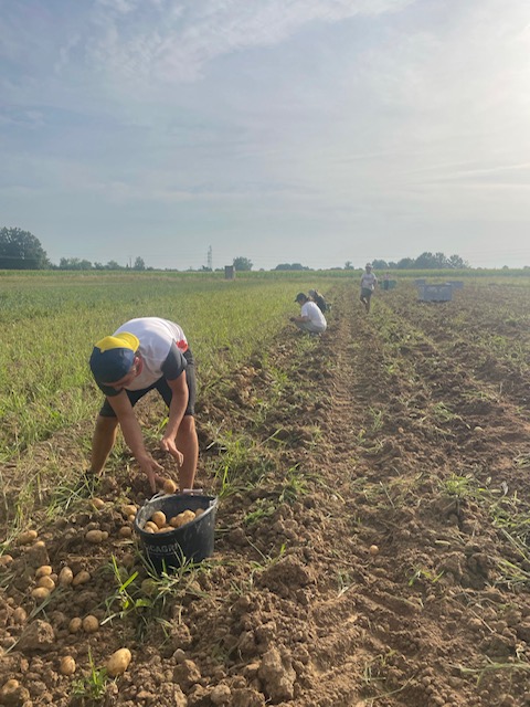 Clarnie rapproche agriculteurs et main d’œuvre étudiante
