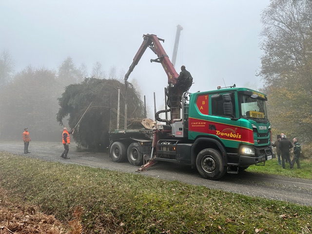 Un Noël écoresponsable à Charleville-Mézières avec des sapins locaux 2