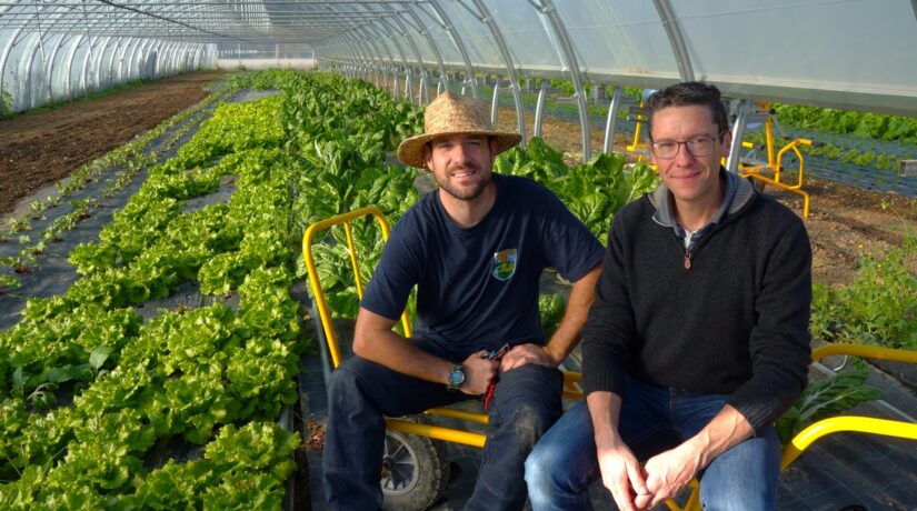 
Warning: Undefined variable $attachment_meta in /home/marcelldev/www/wp-content/themes/marcelle-new/single.php on line 64

Warning: Trying to access array offset on value of type null in /home/marcelldev/www/wp-content/themes/marcelle-new/single.php on line 64
