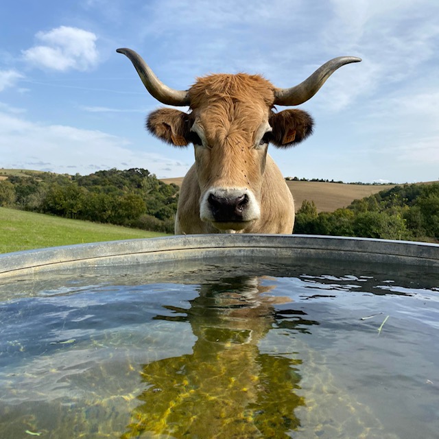 Reconversion agricole : du berceau au bercail 1