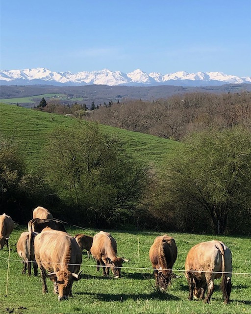 Reconversion agricole : du berceau au bercail 3