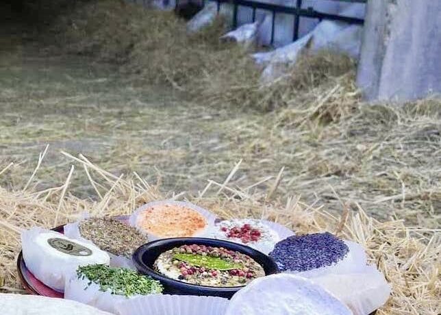 
Warning: Undefined variable $attachment_meta in /home/marcelldev/www/wp-content/themes/marcelle-new/single.php on line 64

Warning: Trying to access array offset on value of type null in /home/marcelldev/www/wp-content/themes/marcelle-new/single.php on line 64
