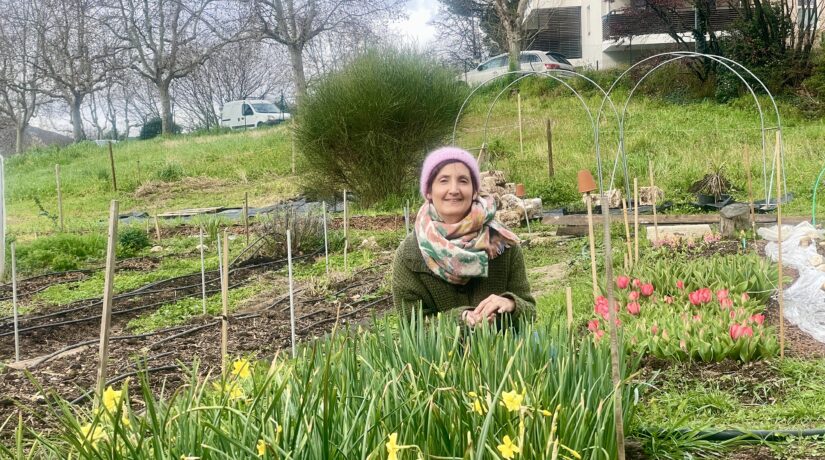 
Warning: Undefined variable $attachment_meta in /home/marcelldev/www/wp-content/themes/marcelle-new/single.php on line 64

Warning: Trying to access array offset on value of type null in /home/marcelldev/www/wp-content/themes/marcelle-new/single.php on line 64
