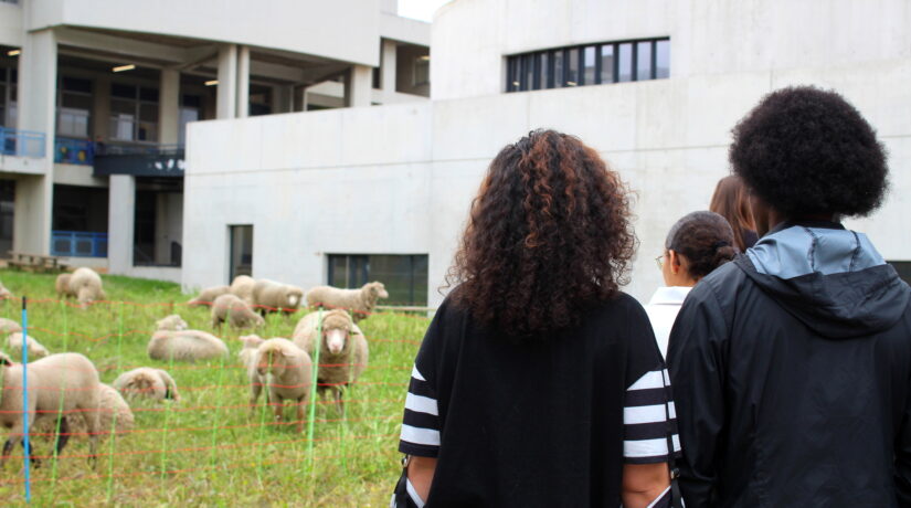 
Warning: Undefined variable $attachment_meta in /home/marcelldev/www/wp-content/themes/marcelle-new/single.php on line 64

Warning: Trying to access array offset on value of type null in /home/marcelldev/www/wp-content/themes/marcelle-new/single.php on line 64
