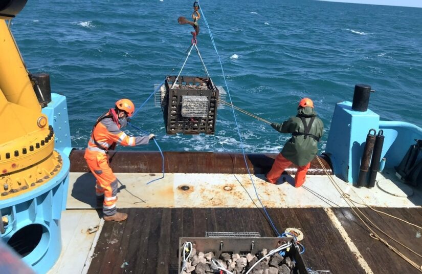 ecocean-valorisation-dechet-mer