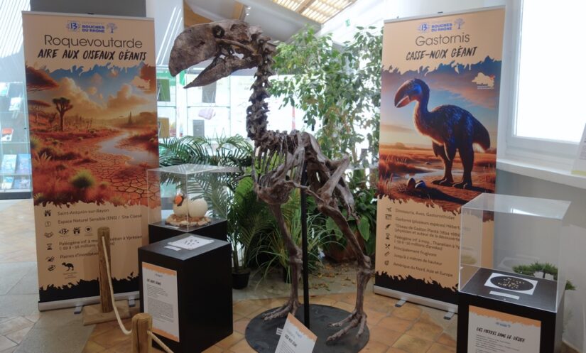 exposition-bucco-rhodania-sainte-victoire