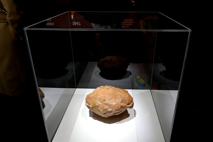 oeuf-dinosaure-reserve-sainte-victoire