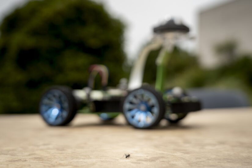 fourmi-recherche-bioinspiree-marseille